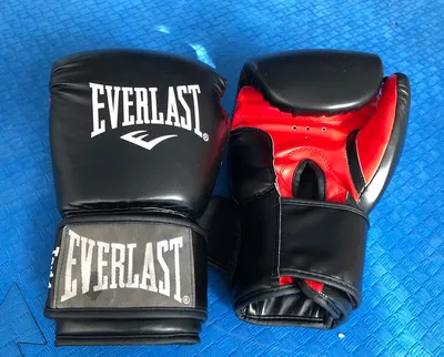 Training Gloves - Core 2, Everlast - DragonSports.eu
