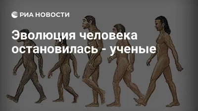 Эволюция человека проходит медленнее чем считалось раньше