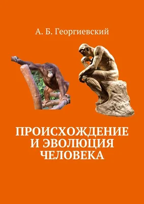 52. Этапы и направления эволюции человека: Предшественники первых людей