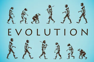 Вечно молодые: эволюция человека закончилась? – K-News