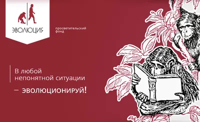 Открой тайны. Эволюция - купить с доставкой по Москве и РФ по низкой цене |  Официальный сайт издательства Робинс