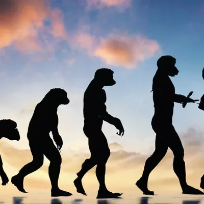 Эволюция оказалась не случайной – ученые сделали важное открытие