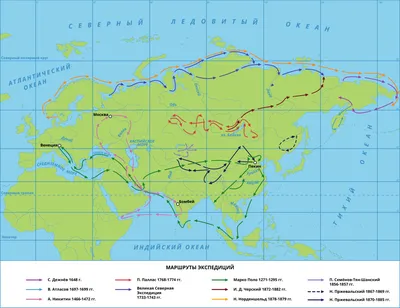 Карта Евразии С Животными — стоковая векторная графика и другие изображения  на тему Карта - Карта, Pinaceae, Ёж - iStock