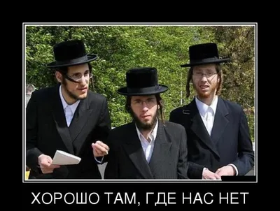 Прикольные картинки и анекдоты про Евреев » uCrazy.ru - Источник Хорошего  Настроения