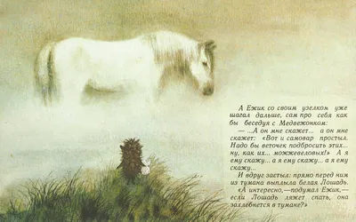 Ежик в тумане\": Любимые фразы и некоторые детали легендарного мульфильма