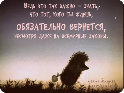 It is so important to know that someone you`re waiting for will be back for  sure in spite of the world laws' Ёжик в тума… | Цитаты, Картинки,  Поддерживающие цитаты