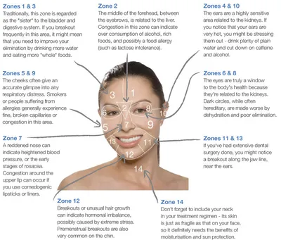 Parts Of The Face Full Vocabulary