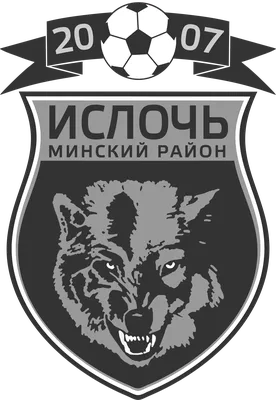 Значок ФК БАТЭ Борисов официальные знаки 4 штуки