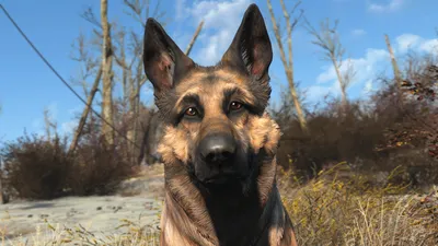 Fallout 4 (PS4) купить, цены на Игры на PS4 с доставкой в интернет магазине  игровых приставок SUPER