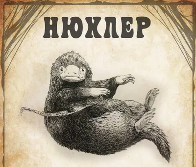 Российский актер Александр Кузнецов появился на постере «Фантастических  тварей»