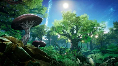 Fantasy Forest in Environments - UE Marketplace