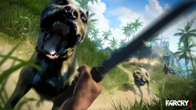 Far Cry 3 — красивое безумие. Рецензия / Игры