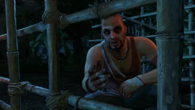 Far Cry 3. Вкратце. — Far Cry 3 — Игры — Gamer.ru: социальная сеть для  геймеров