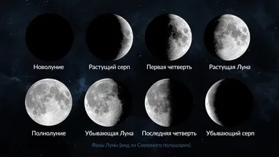 Фаза Луны сегодня — Лунный календарь 2024 | Какая сегодня Луна — растущая  или убывающая | Star Walk