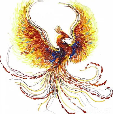 иллюстрация красного феникса, книга теней воспоминания рисунок феникса,  феникс, легендарное существо, оранжевый, вымышленный персонаж png | Klipartz