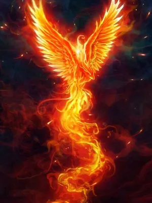 Аватарка феникс, с надписью на ней \"phoenix\" on Craiyon
