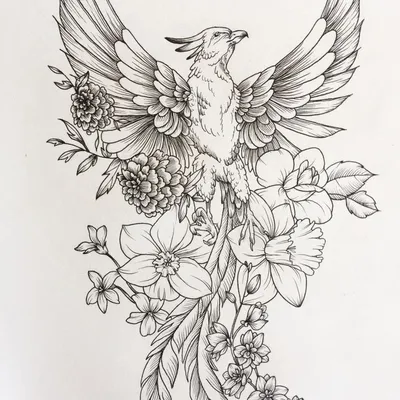 Купить Большая красочная Божественная птица Феникс алмазная живопись Diy  полная алмазная вышивка горный хрусталь фотографии мозаичные животные | Joom