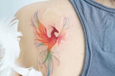 Татуировка Птица Феникс на спине | Татуировка с фениксом, Художественная  татуировка, Цветочные рукава тату