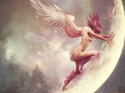 Fallen Angel - Fantasy inspired\" Sticker for Sale by Delerat7 | Redbubble