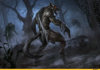 Werewolf with silver fur teen-ager male fantasy | Gallery
