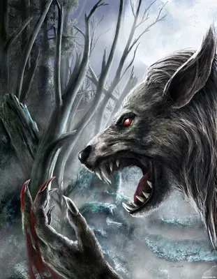Download Woman Werewolf Fantasy Royalty-Free Stock Illustration Image -  Pixabay