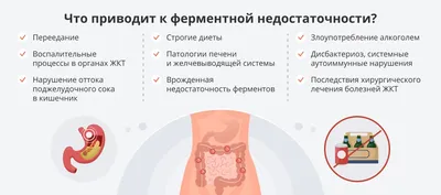 CodeAge, Ферментированные пищеварительные ферменты с пробиотиками и  пребиотиками, веганский, 90 капсул купить в Москве