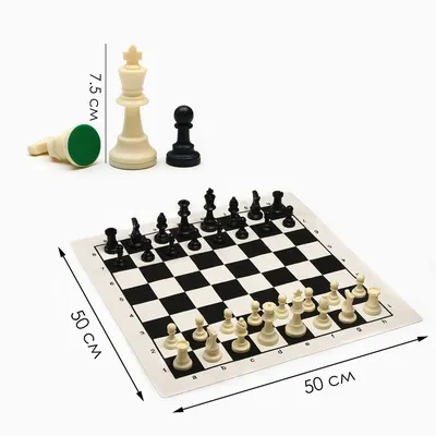 Шахматы в пакете, фигуры (пешка h-4.5 см, ферзь h-7.5 см), поле 50 х 50 см  купить в Чите Шахматы в интернет-магазине Чита.дети (1976165)
