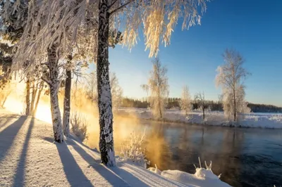 Greed apple - Что такое февраль? Это 28 шагов до Весны.. . . . #зима#февраль#парк#природа  #лес#солнце#снег#мороз#настроение #winter#february#park#nature  #forest#sun#snow#frost#mood #i#love#life | Facebook