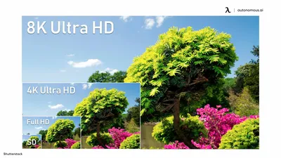 What Resolution Should You Choose: FHD and 4K