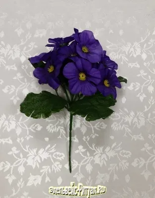 Комнатный цветок \"Фиалка Голубая нимфа\" купить по низкой цене в  интернет-магазине kashpo.store