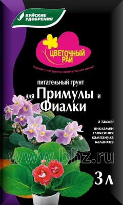 Купить искусственные цветы фиалки в горшке для декора дома по выгодной цене  в интернет-магазине OZON.ru (456931736)