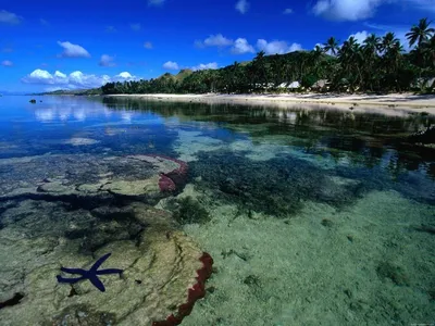 Тихоокеанский рай - Фиджи | Пикабу