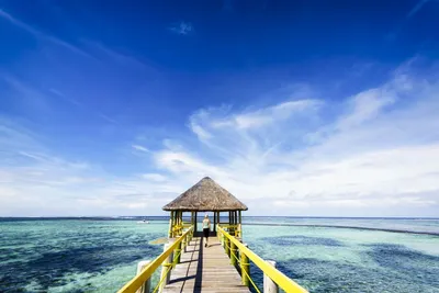 Фиджи | Сайт для путешествий, Принимающие Туроператоры, Бронирование  отелей, Экскурсии и Трансферы напрямую - Мастер Вояж