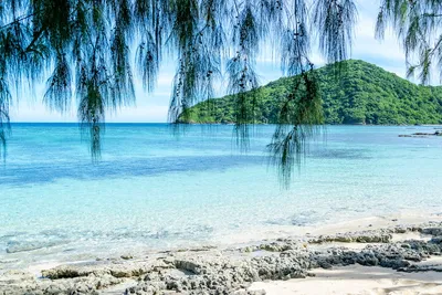 ГООНУР | Сохранение морских экосистем на Фиджи: важный пример для будущих  поколений