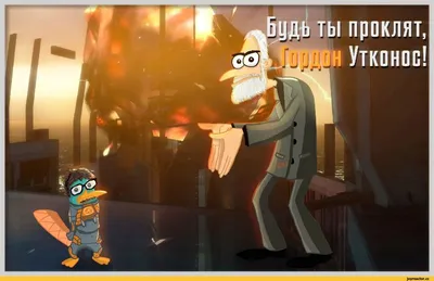 Финес и Ферб» (мультфильм, Phineas and Ferb, комедия, мультфильм, семейный,  сша, 2007) | Cinerama.uz - смотреть фильмы и сериалы в TAS-IX в хорошем HD  качестве.