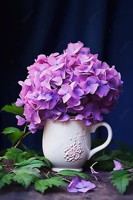 Бледно-Фиолетовые Цветы Цветок - Бесплатное фото на Pixabay - Pixabay