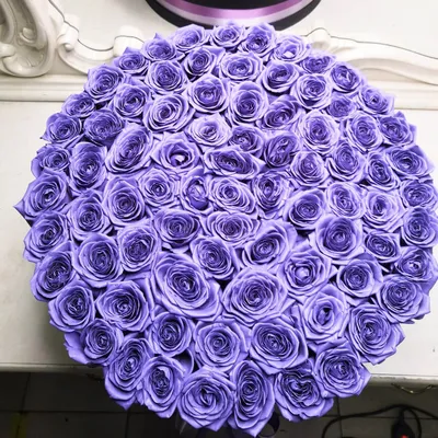 Темно фиолетовые цветы - 70 фото