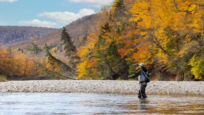 Freshwater Fishing - NYDEC