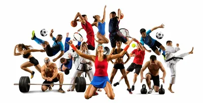 Физкультура и спорт: вред и польза. | Полезные советы для жизни | Дзен