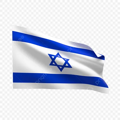 Суд оштрафовал мужчину, нарисовавшего таракана на флаге Израиля | ИА  Красная Весна