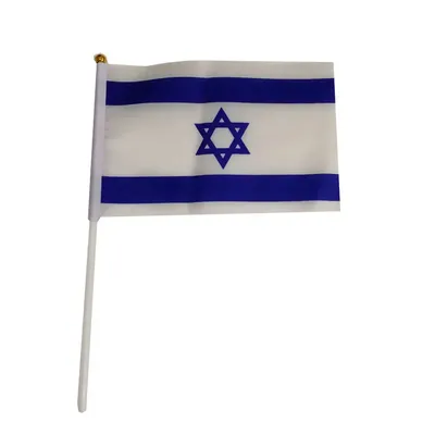 В ФРГ массово срывают и повреждают израильские флаги, пишут СМИ - РИА  Новости, 16.10.2023