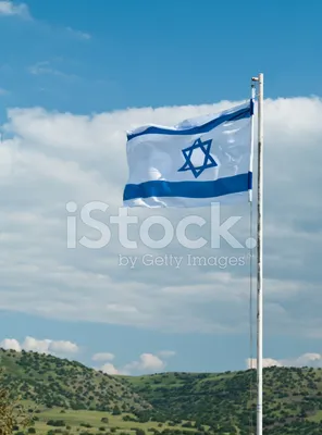 Флаг Израиля и арабских государств Stock Photo | Adobe Stock