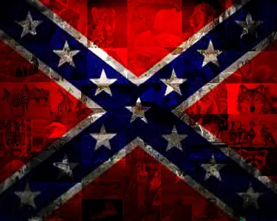 Флаг Конфедерации обои - 33 фото