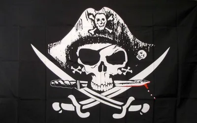Пиратский флаг из фильма Пираты Карибского моря купить за 341 грн. в  магазине Personage.ua