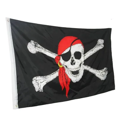 Flag Jolly Roger Piracy Length Fahne, Flag, flag, rectangle, jolly Roger  png | PNGWing