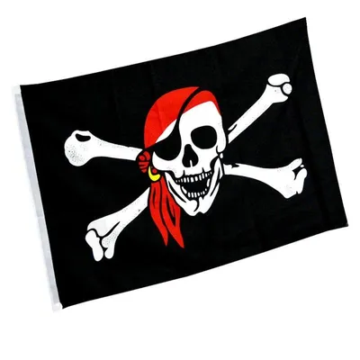 Пиратский Флаг Вектор — стоковая векторная графика и другие изображения на  тему Пиратский флаг - Пиратский флаг, Векторная графика, Голова человека -  iStock
