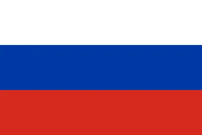 Поднять флаг: что можно и что нельзя делать с российским триколором