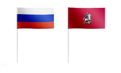 Самый главный флаг России» » ТОДЮБ