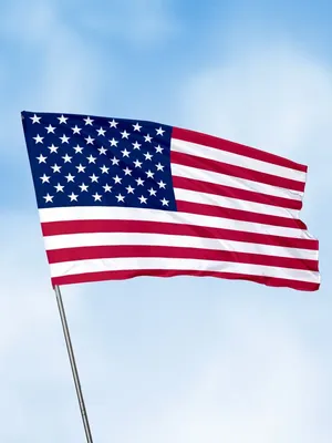 Флаг США | Процвет