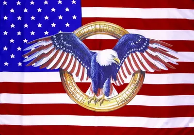 Флаг Орел на флаге США – купить по выгодной цене в Москве | Рок-аксессуары  в интернет-магазине «Позитиф»